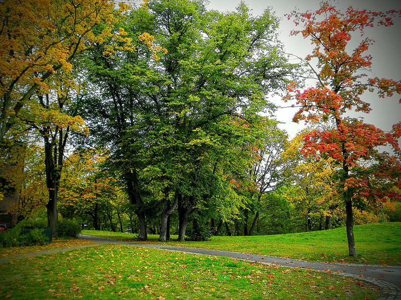 6th happiest city in europe Oslo
