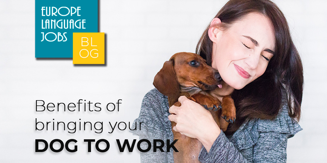 5 Proven Benefits of Bringing Your Dog To Work