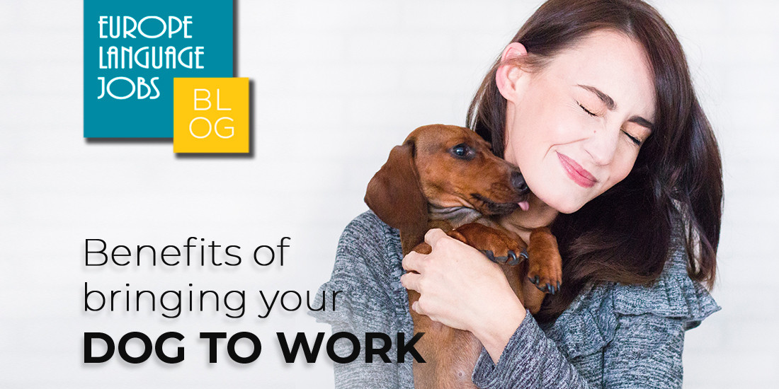 5 Proven Benefits of Bringing Your Dog To Work 5 Proven Benefits of Bringing Your Dog To Work